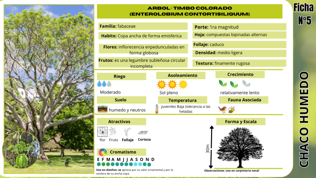 Ficha técnica (1)